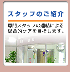 �X�^�b�t�̂��Љ�